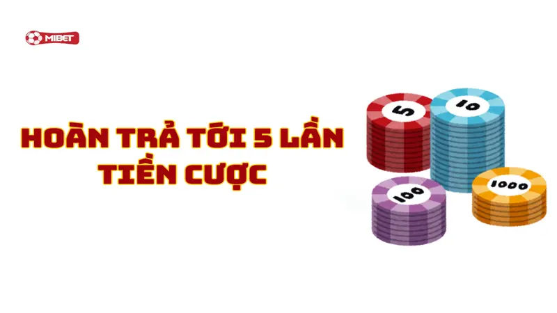 Hoàn trả tới 5 lần tiền cược