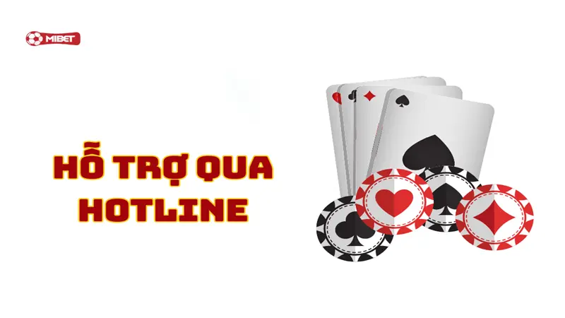 Hỗ Trợ Qua Hotline