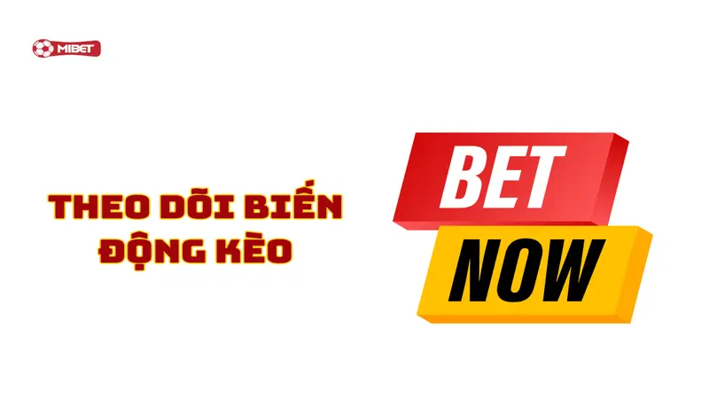 Theo dõi biến động kèo