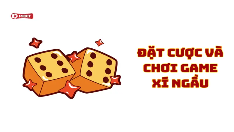 Đặt cược và chơi game xí ngầu