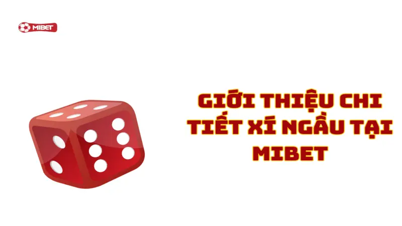 Giới thiệu chi tiết xí ngầu tại Mibet