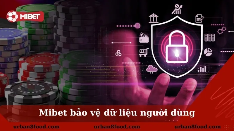 Các phương thức bảo mật Mibet sử dụng để đảm bảo an toà